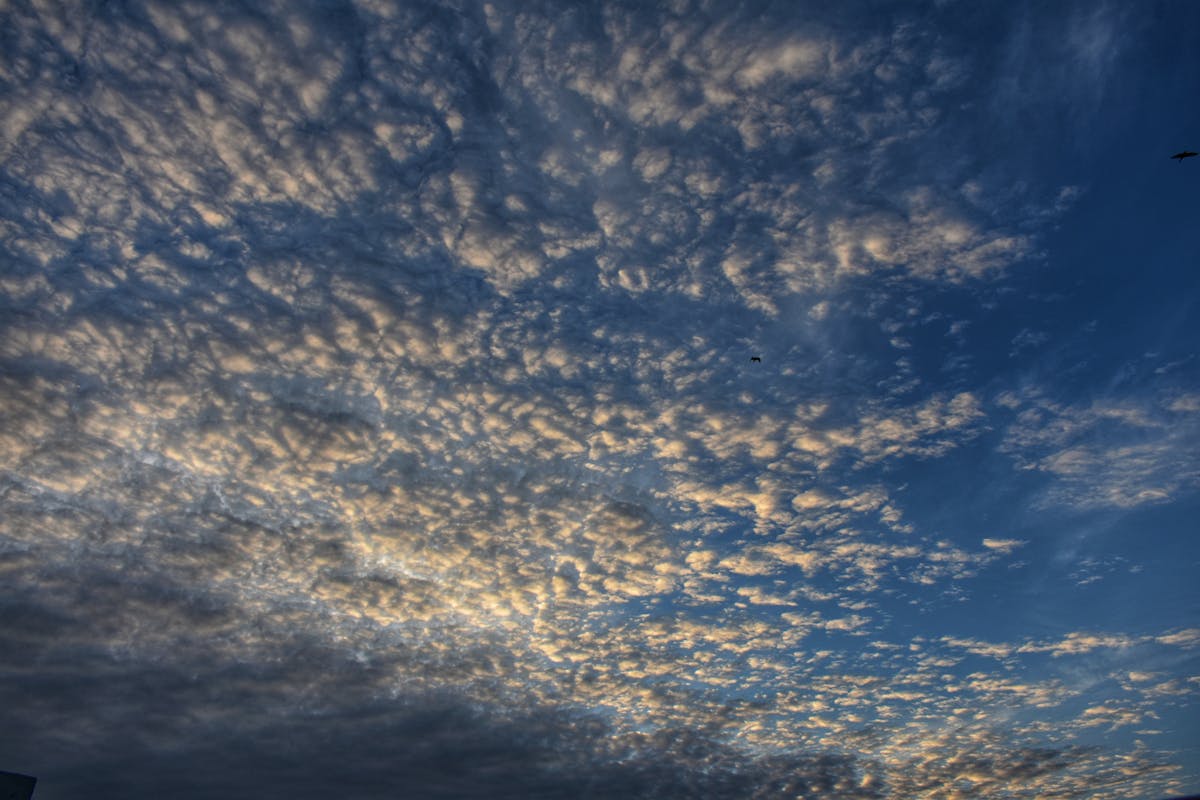 2026年OpenClaw深度对比